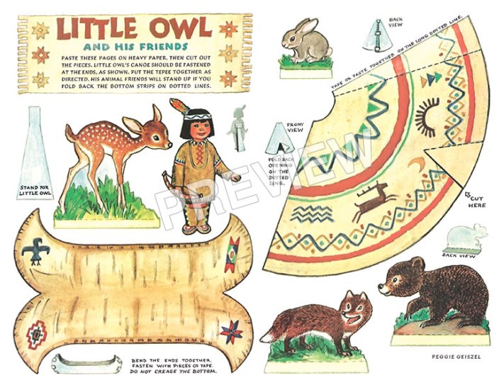 (image for) Little Owl